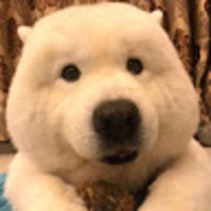 Meet your Posher, Camille